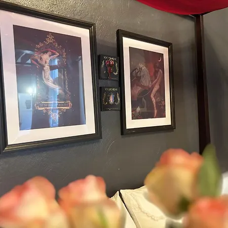 Cocon D'amour - Old Tours