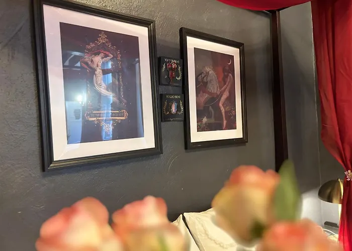 Cocon D'amour - Old Tours